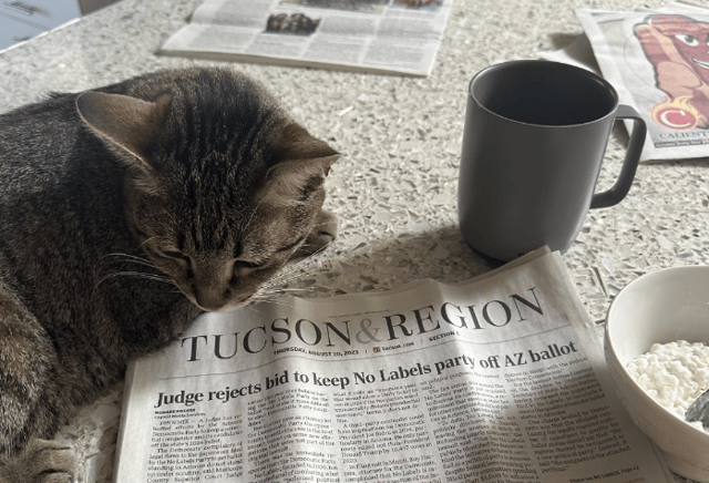 Gail's Cat with Newspaper