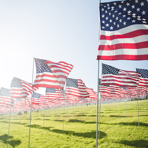 american_flags_1