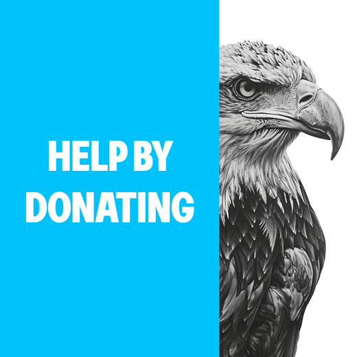 eagle_donate_1